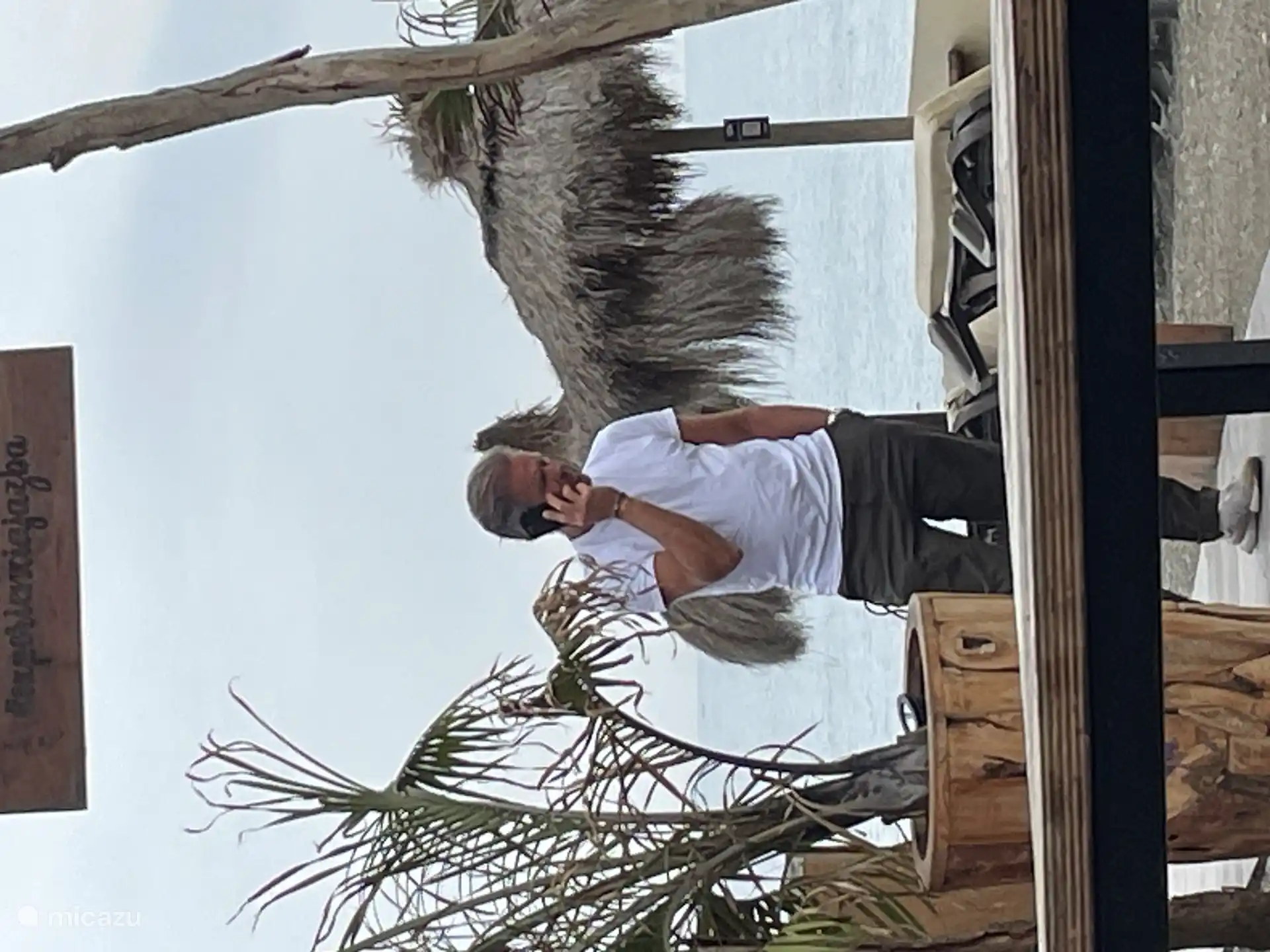 Frank De Baerdemaeker