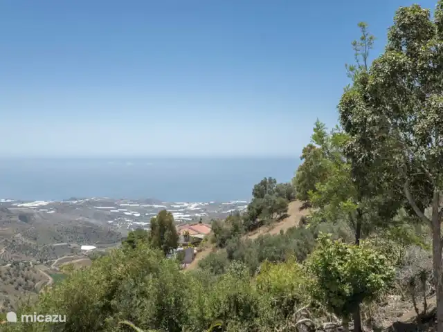 Soda y Limón de View14 en España, Costa del Sol, Sayalonga - villa