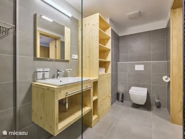 Krakonos residence 2-2 huren in Tsjechië, Hradec Králové, Pec Pod Snezkou - appartement badkamer