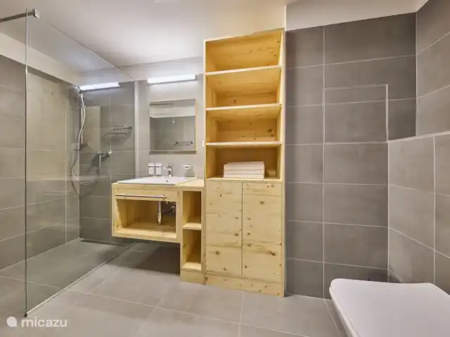 Krakonos residence 2-2 huren in Tsjechië, Hradec Králové, Pec Pod Snezkou - appartement badkamer met inloopdouche