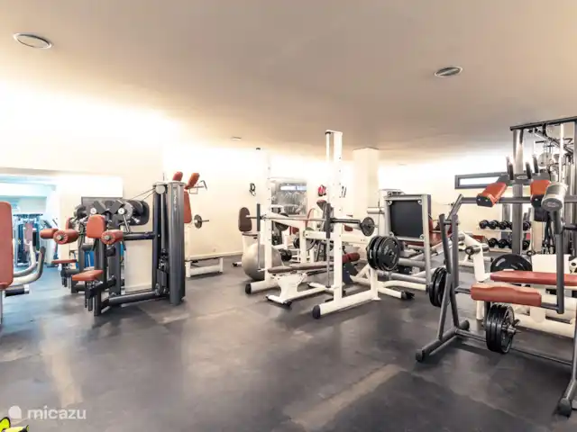 Villa de luxe aux sept cieux | Espagne, Costa del Sol, Marbella - villa Gymnase