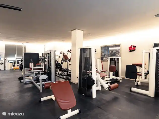 Villa de luxe aux sept cieux | Espagne, Costa del Sol, Marbella - villa Gymnase