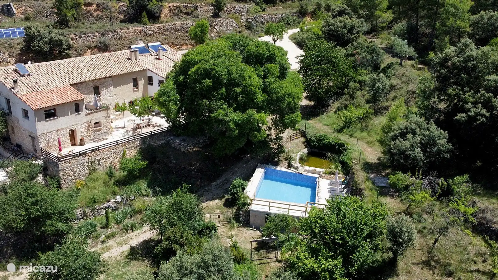 aerial view/swimming pool