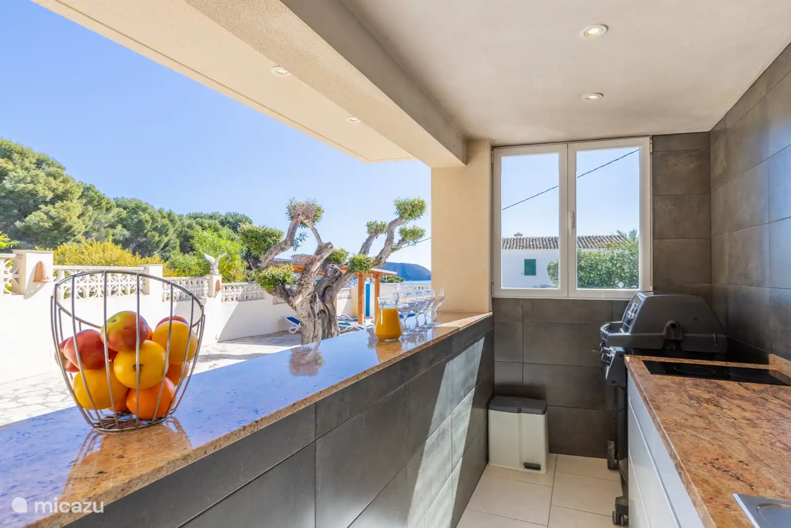 Außenküche/Poolbar mit Gasgrill