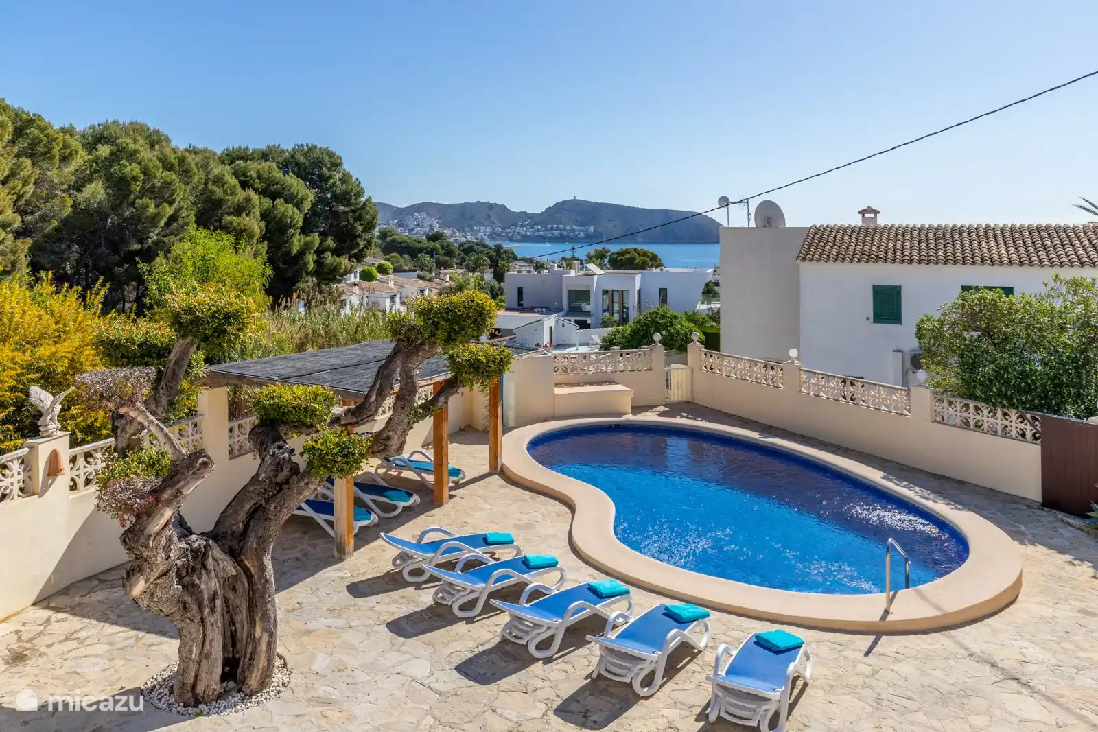 Schwimmbad mit Pergola und Liegestühlen