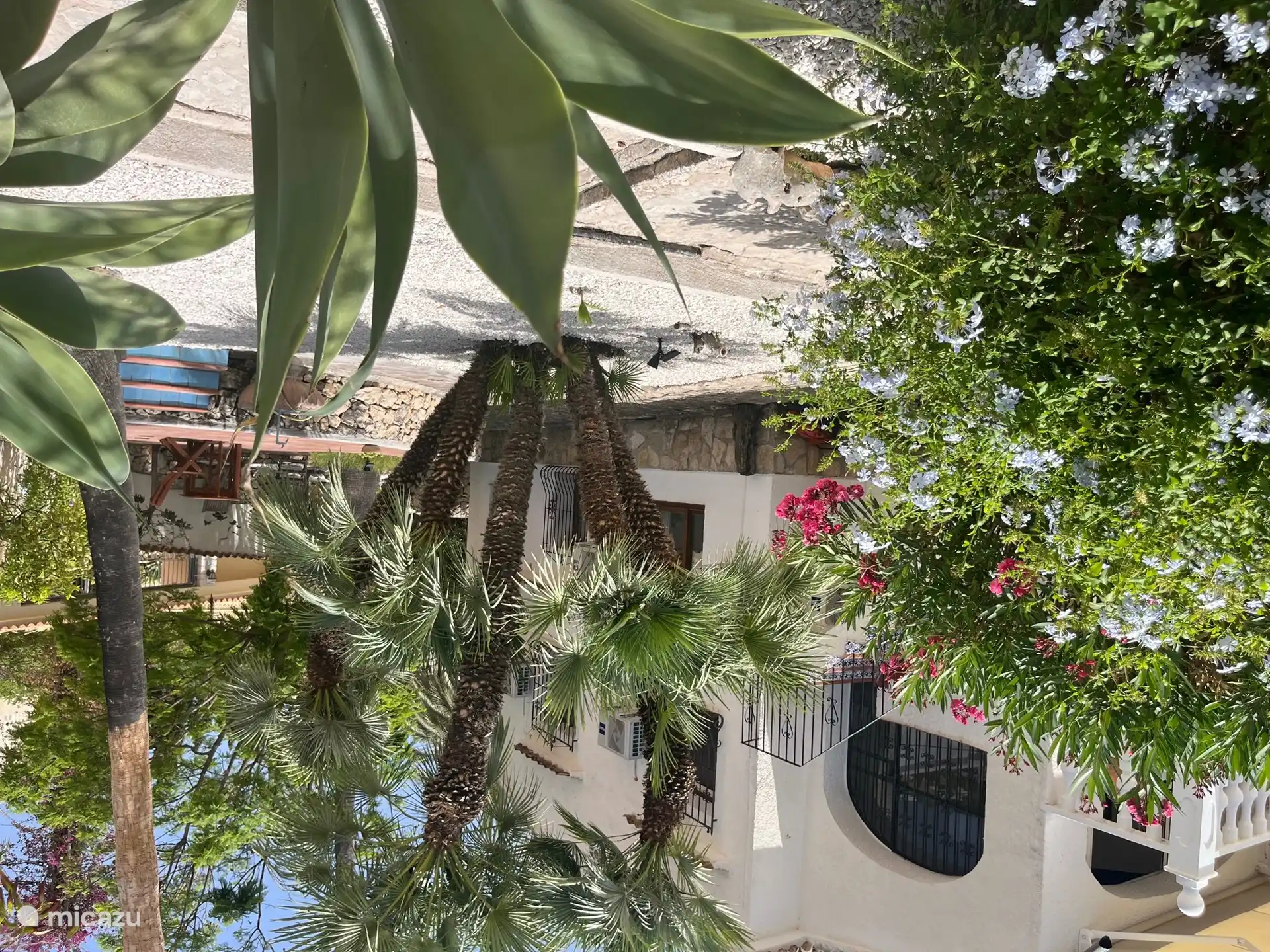 El gran jardín que rodea la casa tiene muchas zonas de descanso diferentes al sol y a la sombra. Flores, plantas, palmeras y cítricos lo convierten en un hermoso conjunto.