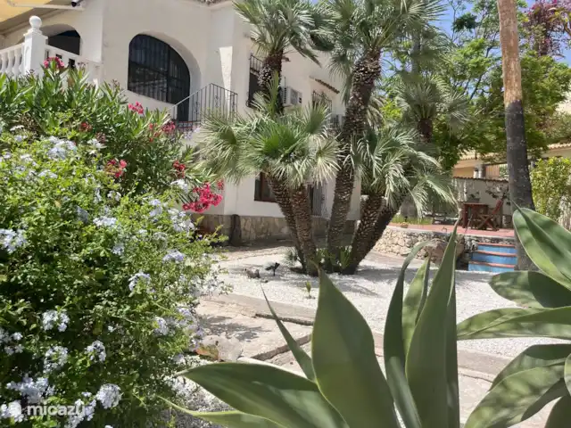 Villa Salvia en España, Costa Blanca, Benissa - villa El gran jardín que rodea la casa tiene muchas zonas de descanso diferentes al sol y a la sombra. Flores, plantas, palmeras y cítricos lo convierten en un hermoso conjunto.