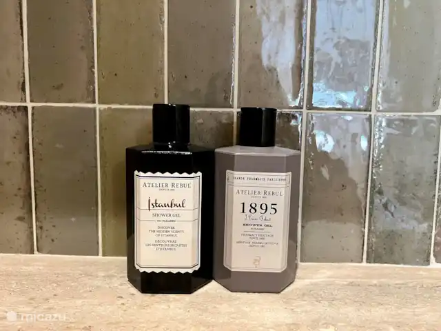 Villa Marie-Ange en Francia, Costa Azul, Grimaud - casa vacacional Baño