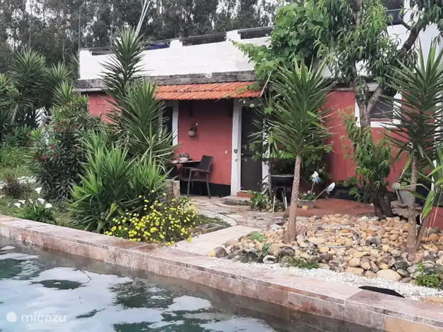 Wandelen, Portugal, Costa de Prata, Leiria, studio Casa Raposa Achterkant studio/ buitenzitje en grenzend aan zwembad.