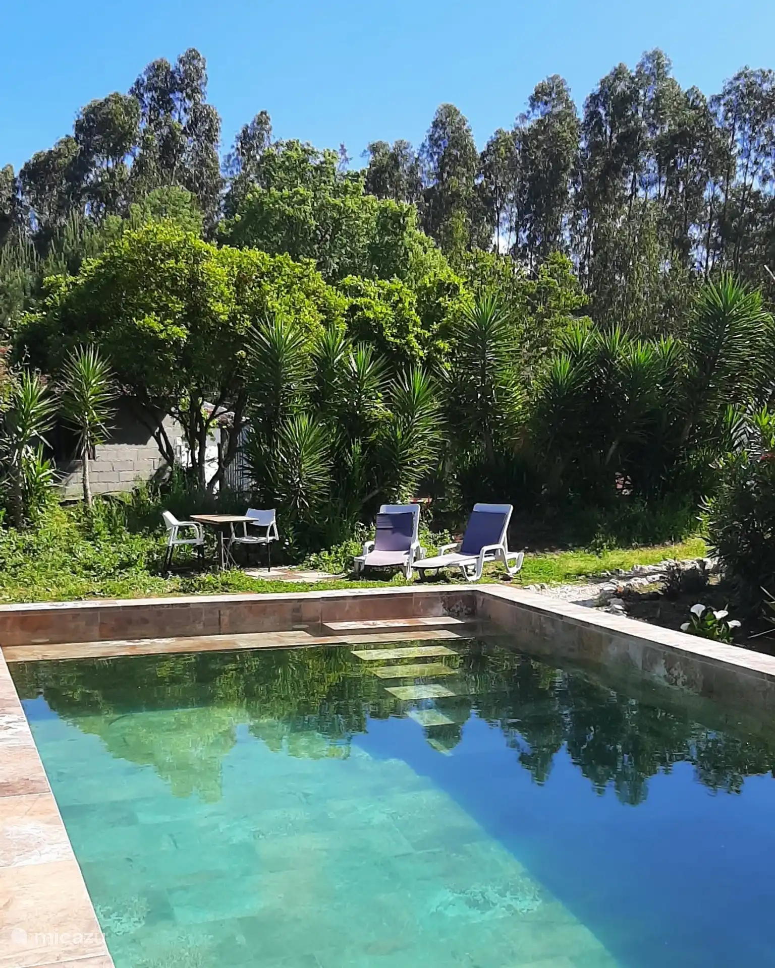 Casa Raposa in Portugal, Prata Coast, Leiria - Studio