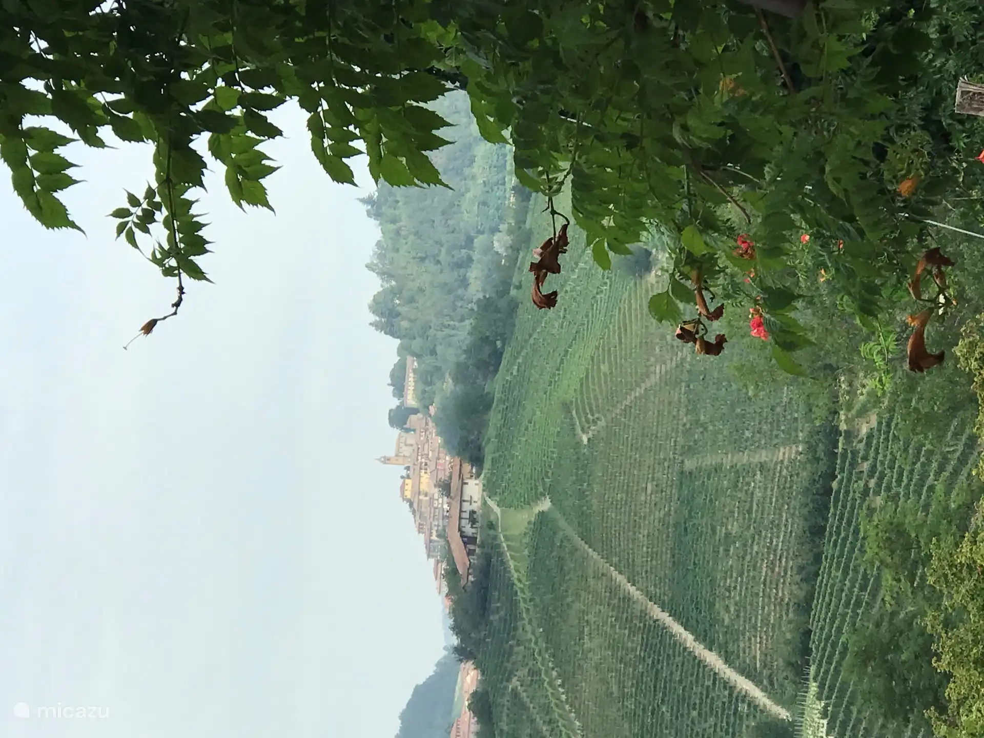 Uitzicht op Monforte d'Alba