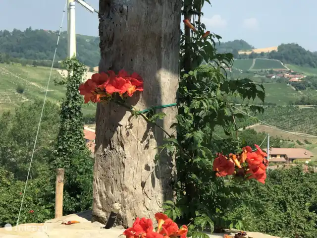 Casa Rinaldi  | Italie, Piémont, Monforte D Alba - maison de vacances Vue depuis la terrasse du village.