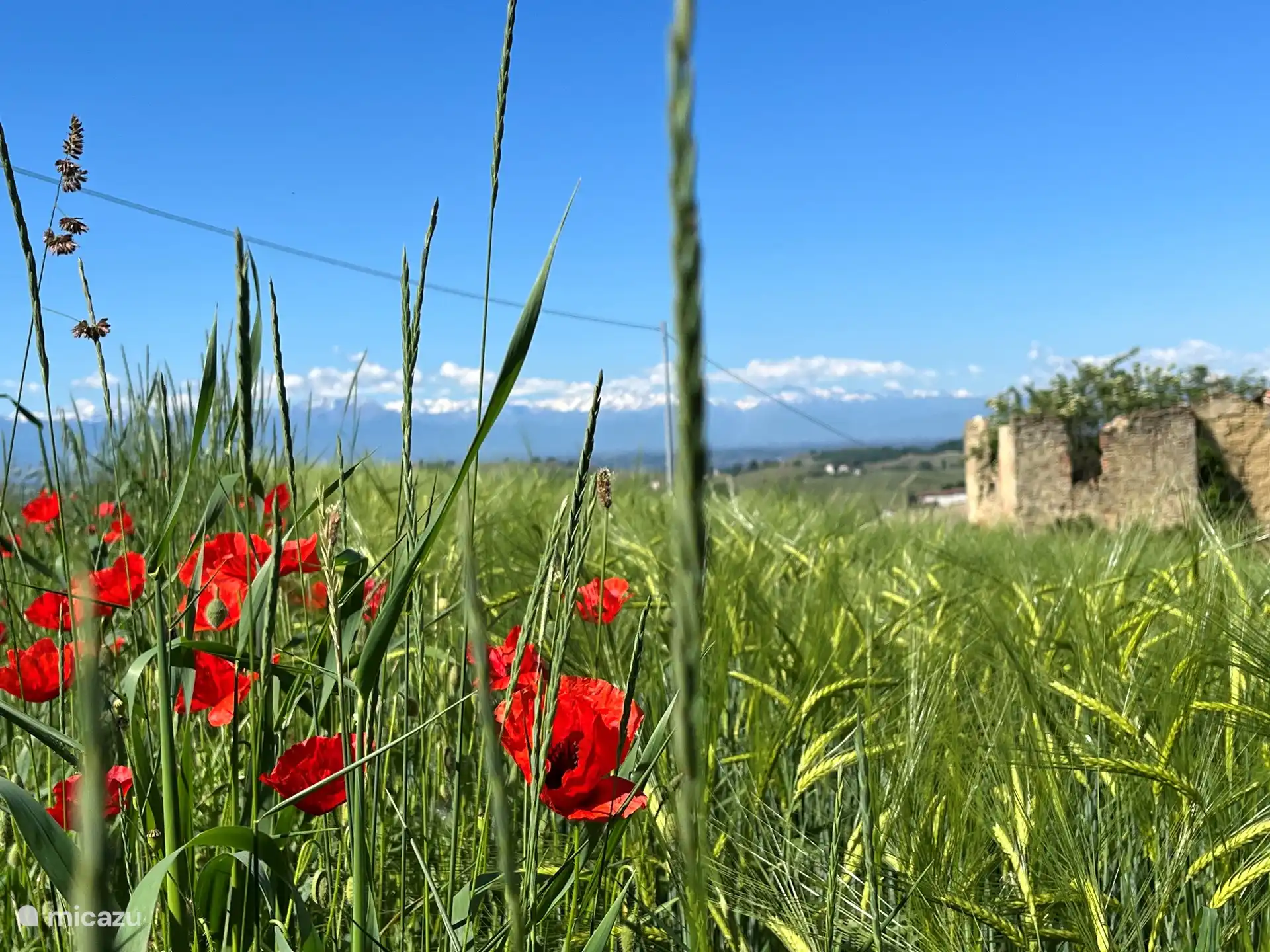 Oude ruïne vlakbij ons om de hoek, prachtig uitzicht vanaf deze locatie. 
