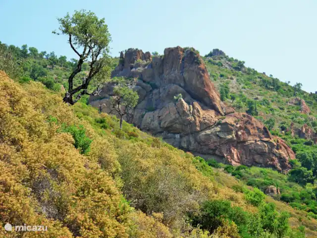 Maison Laurier Rose huren in Frankrijk, Côte d´Azur, Le Plan-de-la-Tour - vakantiehuis Bergen
