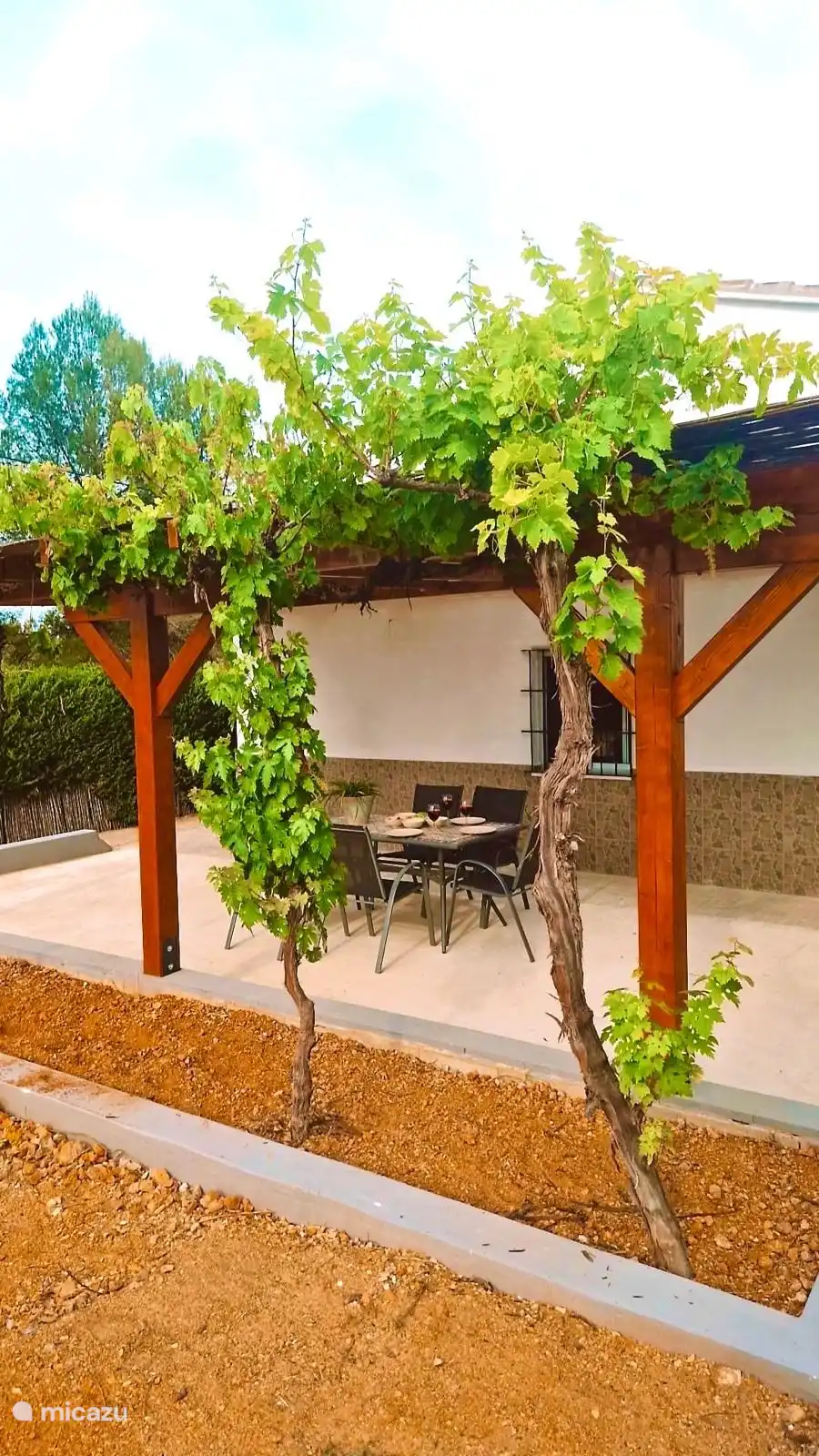 Vorderansicht der hinteren Terrasse mit schönen grünen Weinbäumen. 