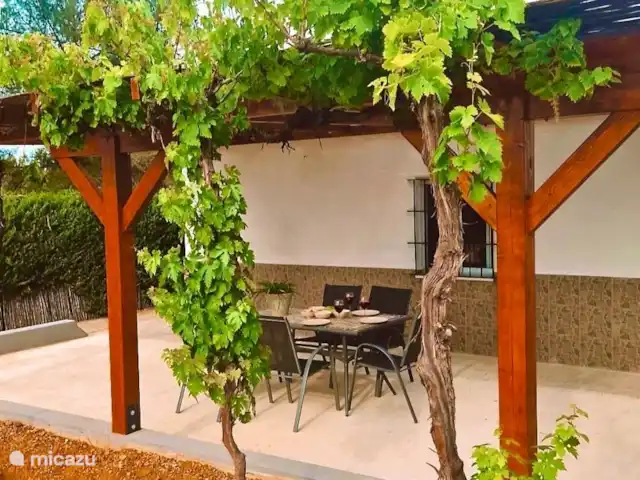 Villa Morera en España, Valencia, Albaida - villa Vista frontal, terraza trasera con hermosos árboles de uva verdes.