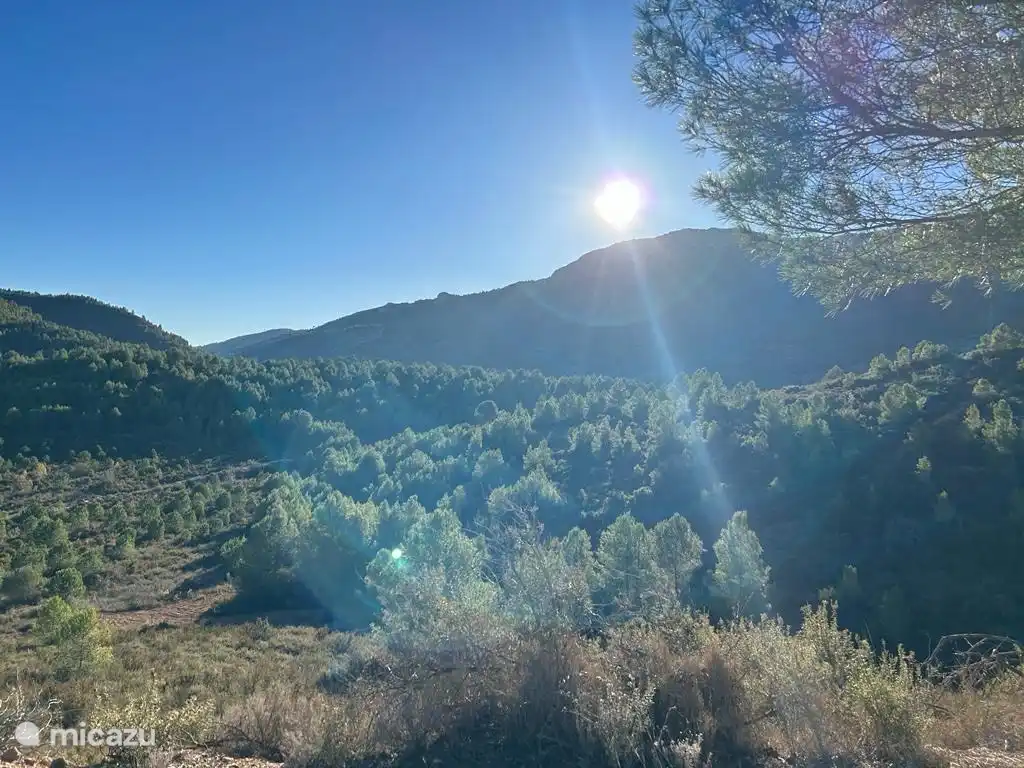 Tolle Aussicht vom Garten