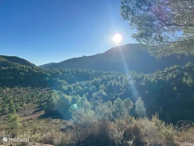 Villa Morera en España, Valencia, Albaida - villa Gran vista desde el jardín.