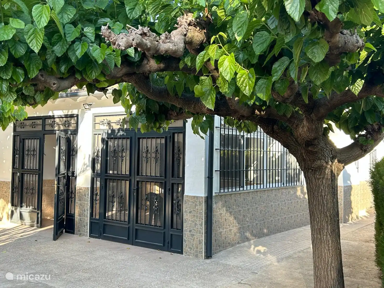 Schöne Frontansicht des Hauses mit viel Grün rundherum.