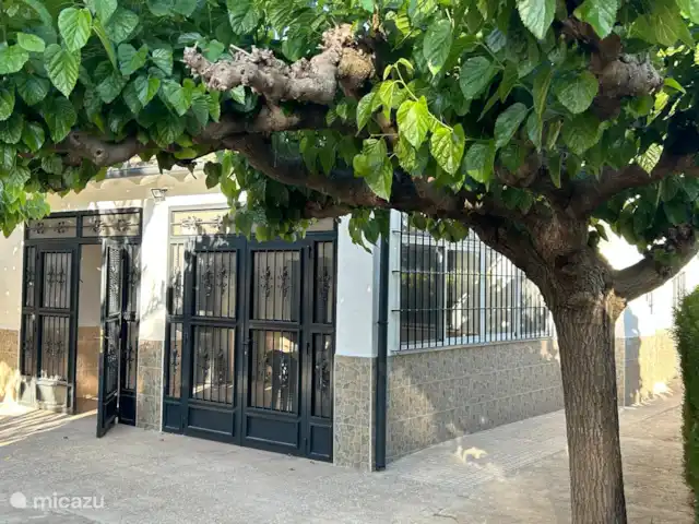 Villa Morera en España, Valencia, Albaida - villa Hermosa vista frontal de la casa con vegetación alrededor.