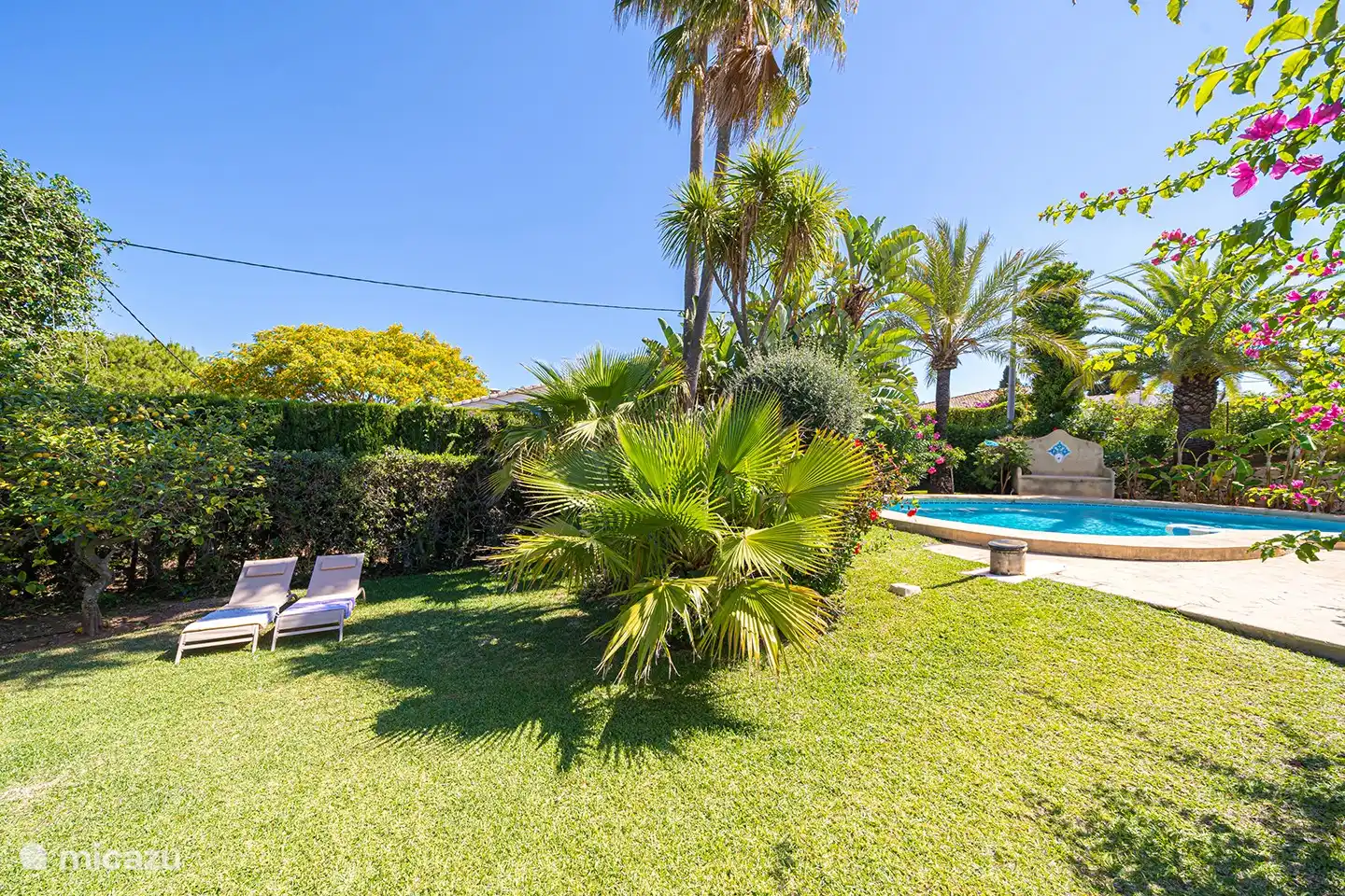 Liegewiese und Schwimmbad