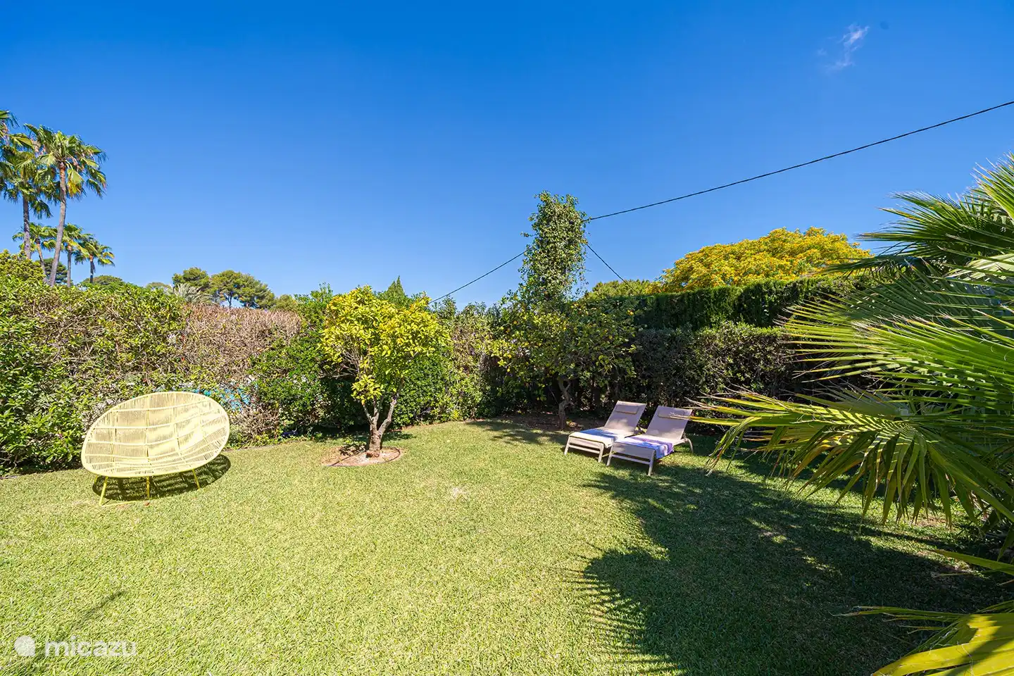 Liegewiese mit Zitronen- und Orangenbäumen