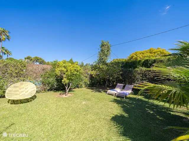 Villa Fave | Espagne, Costa Blanca, Jávea - villa Pelouse ensoleillée avec citronniers et orangers