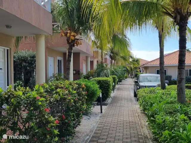 Location de Vacances Curaçao, Curaçao-Centre, Piscadera, maison mitoyenne - Nos Deseo - Emplacement privilégié à Curaçao Location de Vacances Curaçao, Curaçao-Centre, Piscadera, maison mitoyenne - Nos Deseo - Emplacement privilégié à Curaçao