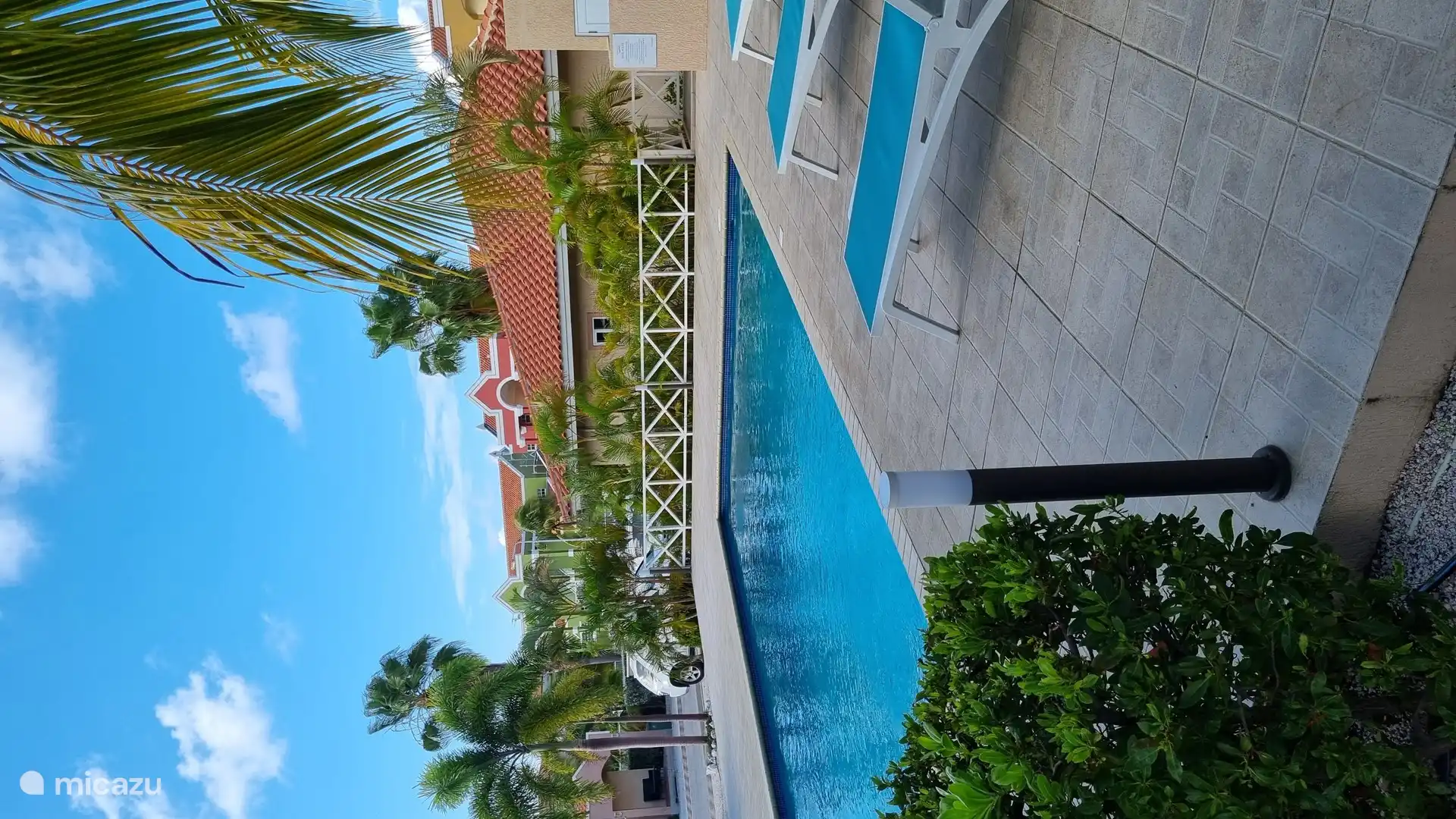 Piscine avec chaises longues