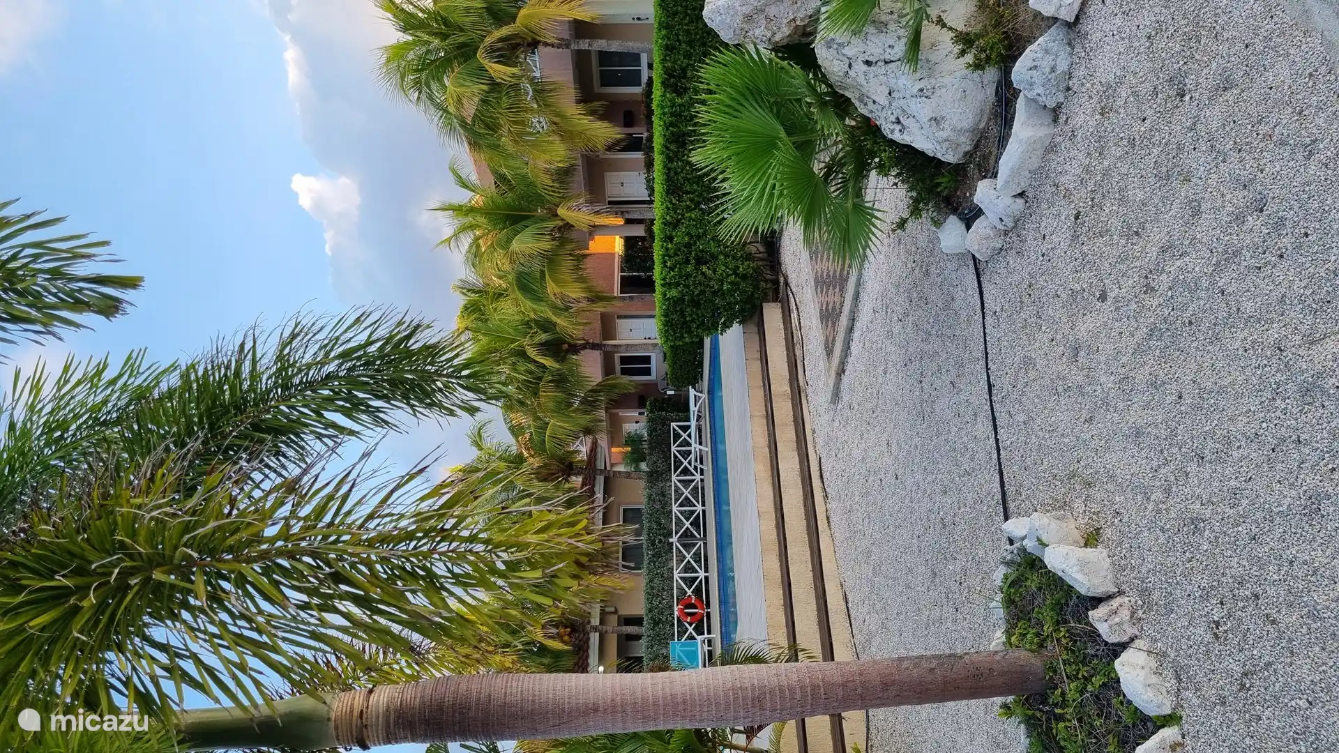 La piscine avec chaises longues