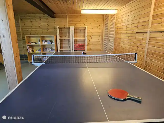 Chalet en bois des Ardennes vue WIFI | Belgique, Ardennes, Manhay - chalet Table de ping-pong