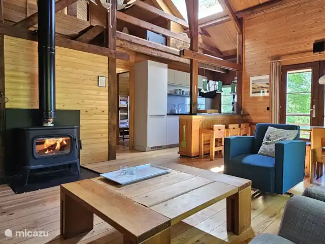 Chalet en bois des Ardennes vue WIFI | Belgique, Ardennes, Manhay - chalet Poêle à bois confortable dans le salon avec beaucoup de soleil