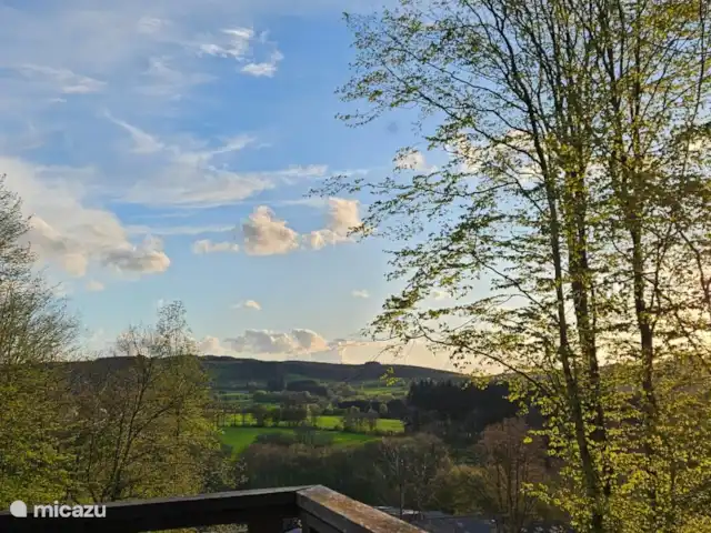 Chalet en bois des Ardennes vue WIFI | Belgique, Ardennes, Manhay - chalet vue depuis la terrasse