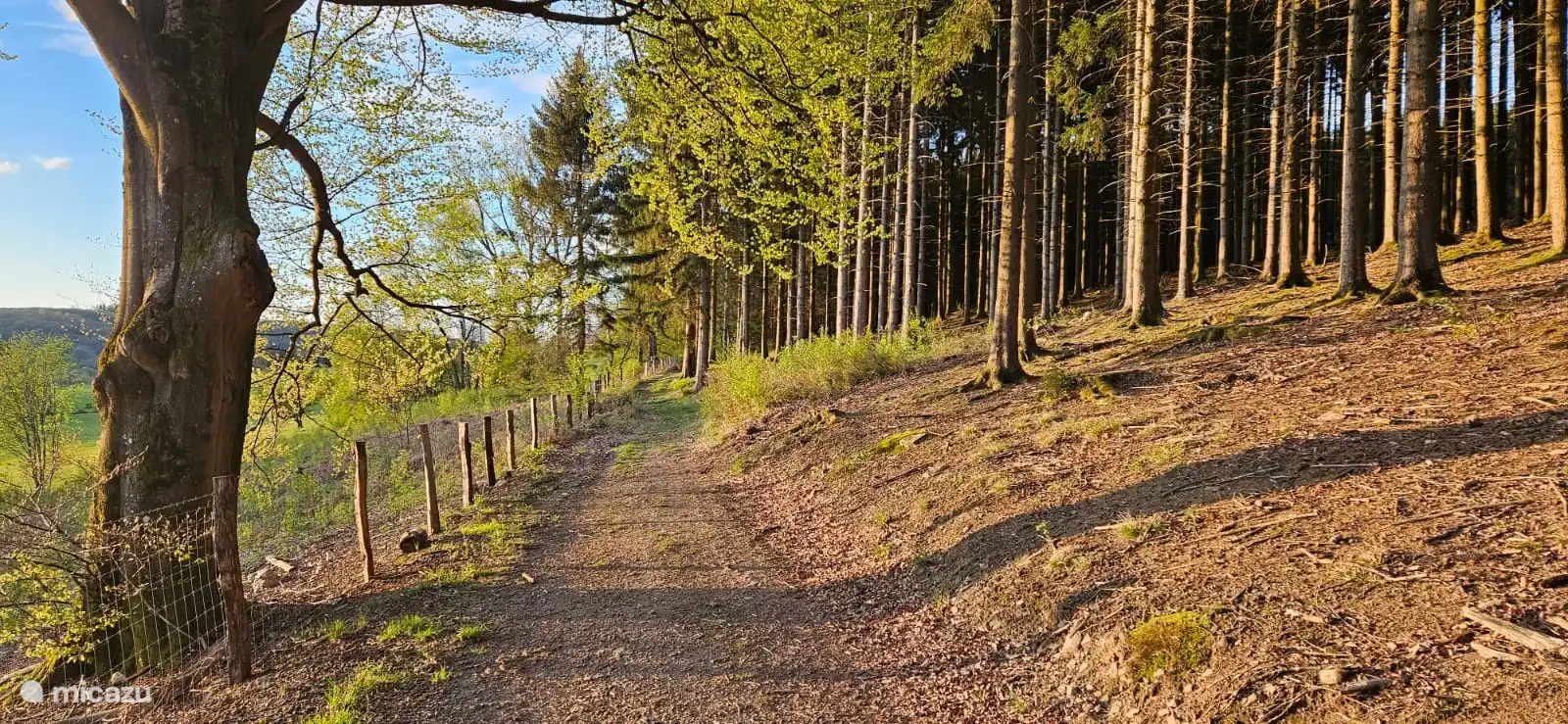 Weg weiter den Hügel hinauf mit schöner Aussicht 
