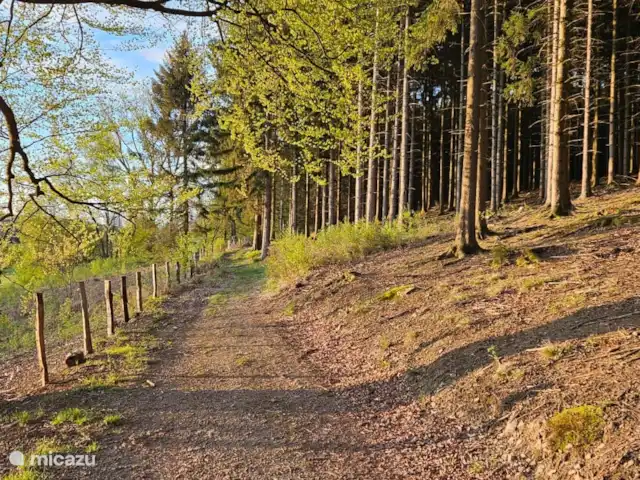 Chalet en bois des Ardennes vue WIFI | Belgique, Ardennes, Manhay - chalet chemin plus haut sur la colline avec de belles vues