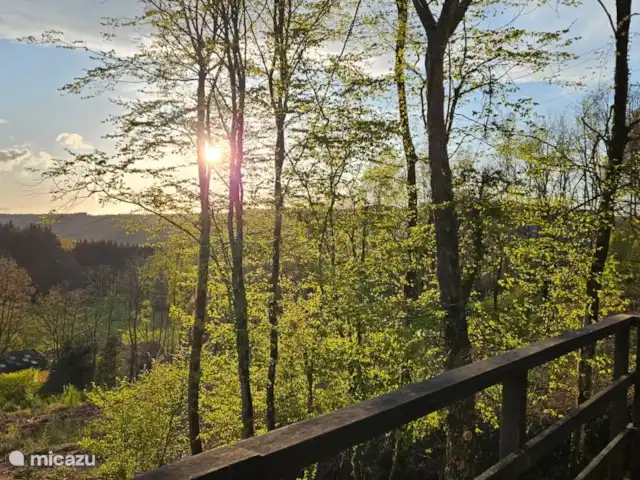 Chalet en bois des Ardennes vue WIFI | Belgique, Ardennes, Manhay - chalet vue depuis la terrasse