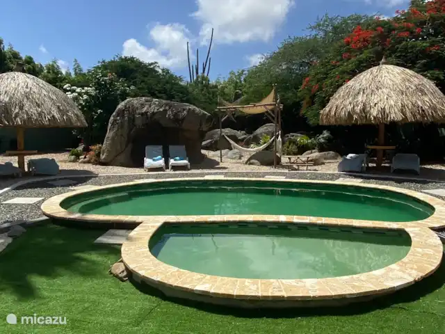 Appartement spacieux à Aruba  | Aruba, Nord, Nord - appartement Notre belle piscine et notre cour arrière