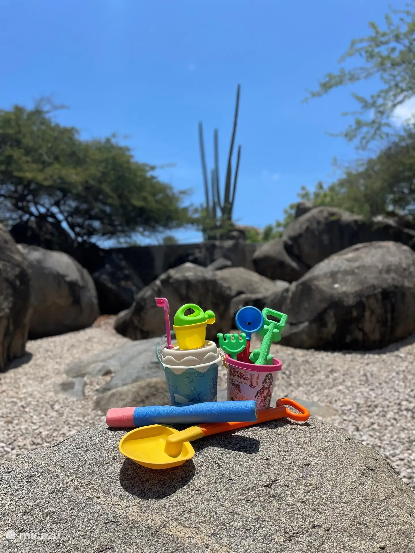 Nuestro patio trasero