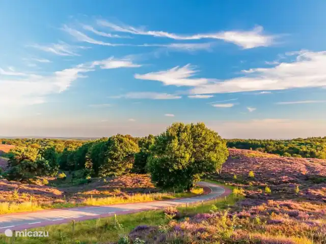 De Vrije Vogel huren in Nederland, Gelderland, Voorthuizen - chalet De prachtige Veluwe, heerlijk om te wandelen en/of fietsen