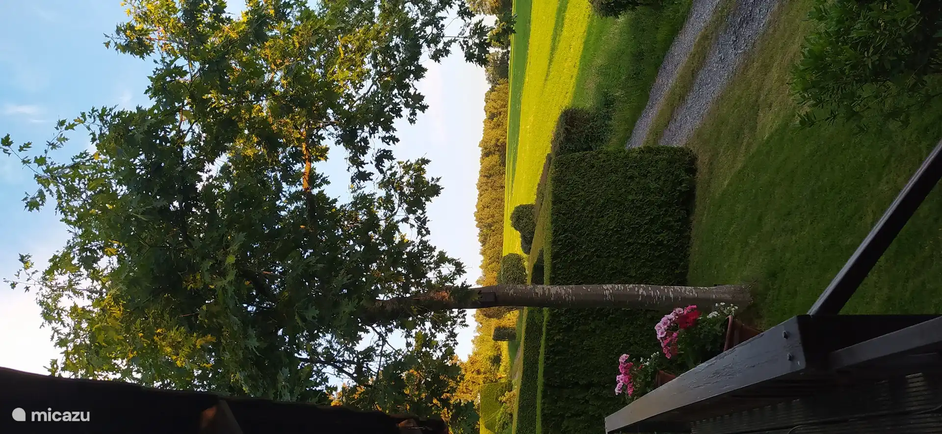 Blick von der Terrasse. 