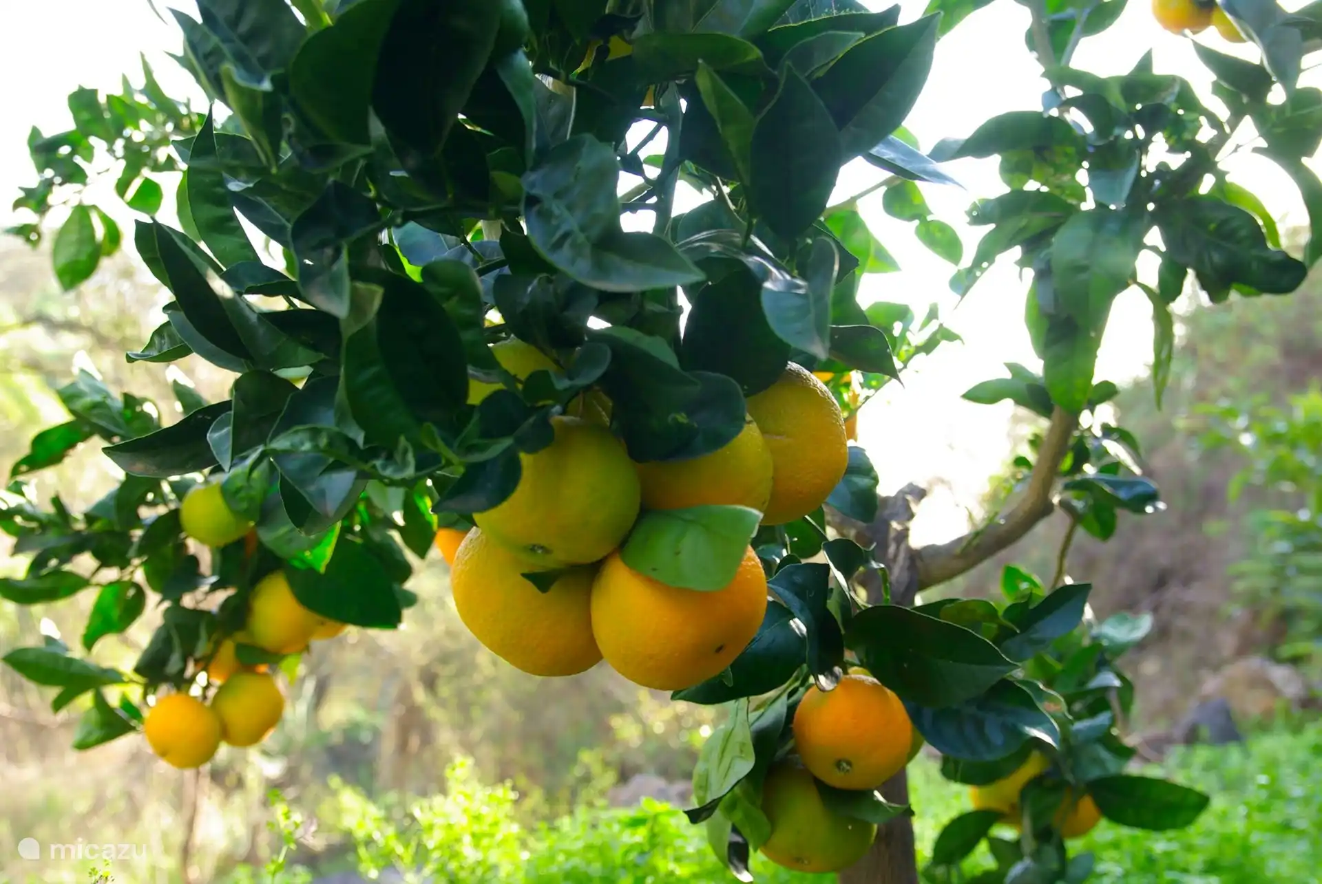 Casa Visioneros Tijarafe La Palma en España, La Palma, Tijarafe - Finca