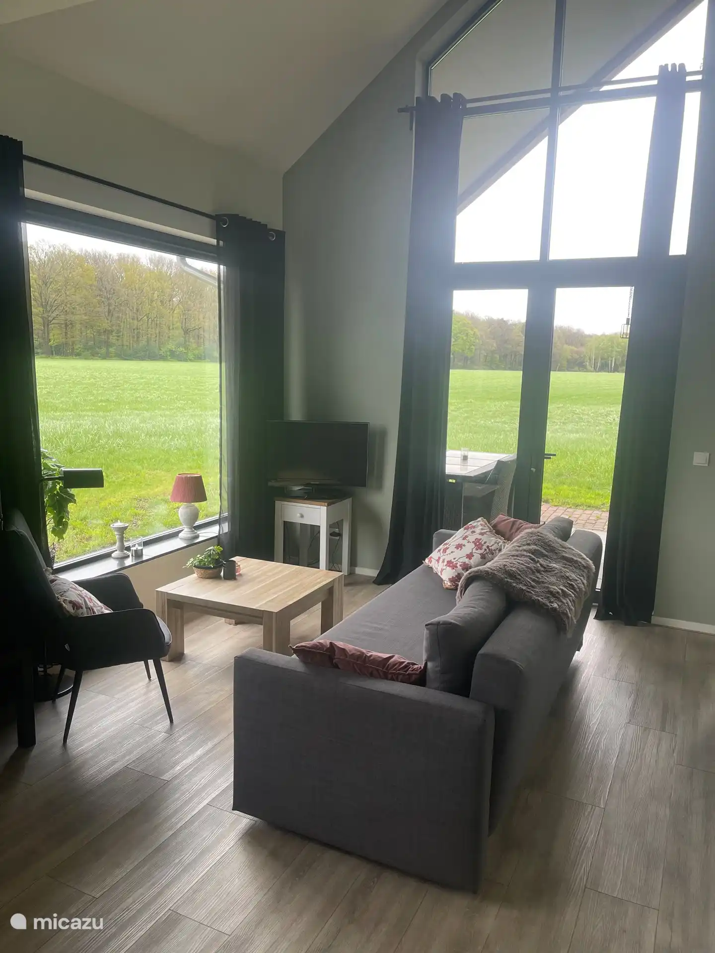 Vista sobre una amplia pradera rodeada de bosque.