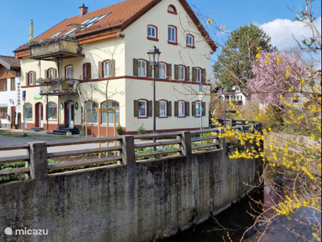 Holiday home in Germany, Bavaria, Bad Aibling - apartment Apartment Roswitha