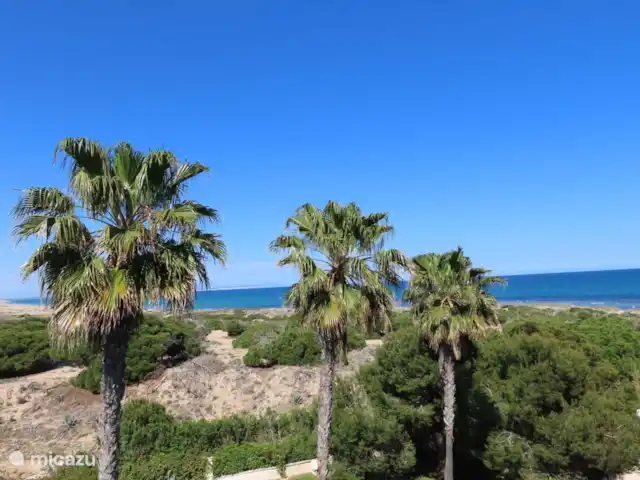Location de Vacances Espagne, Costa Blanca, La Mata, appartement - Appartement de plage ZZ Plage de Pinada Vue sur la mer Méditerranée