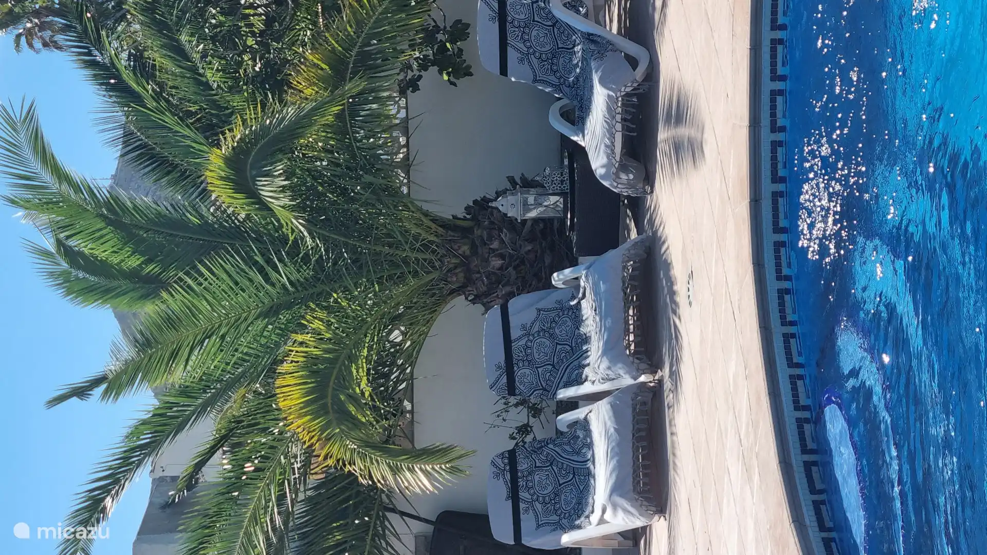 Schönes schattiges Plätzchen unter der Palme