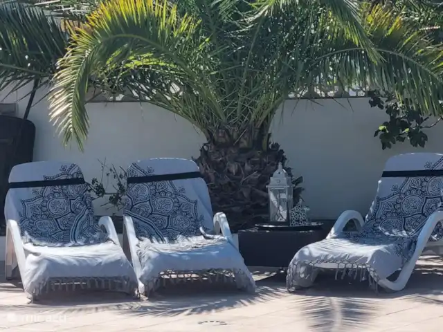 Brise d'été | Espagne, Costa Blanca, Jávea - villa Bel endroit ombragé sous le palmier