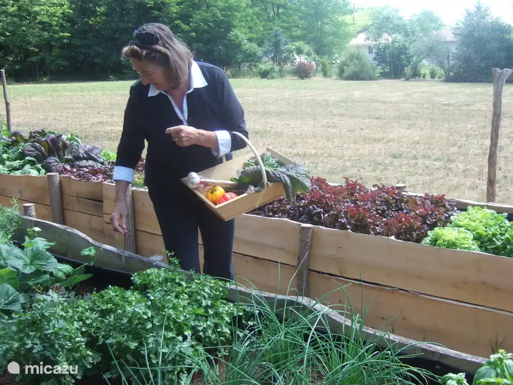 lechuga fresca y tomate en La Mirande