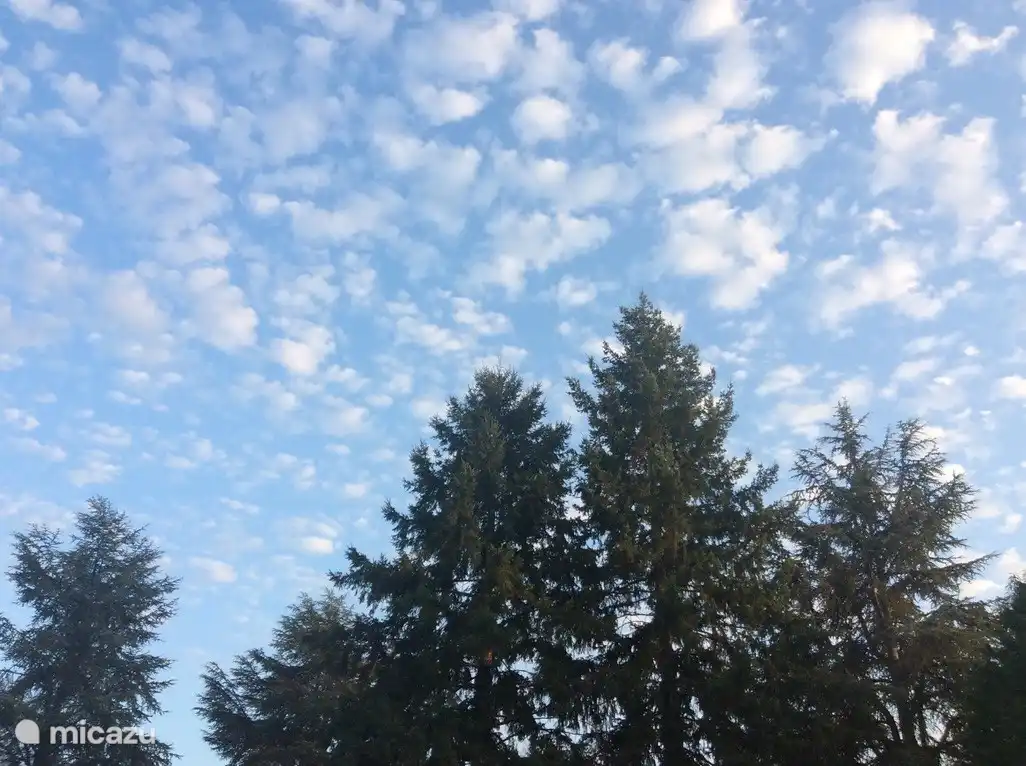 Espacio en glamping la Mirande