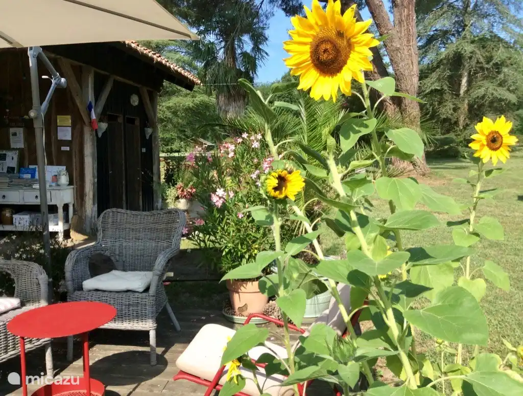 Girasoles en glamping la Mirande