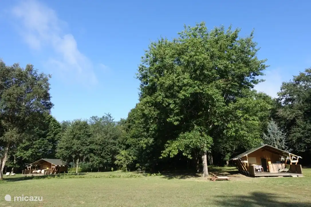 En la Mirande: espacio y tranquilidad